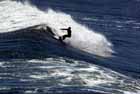 Surfing in New Zealand.